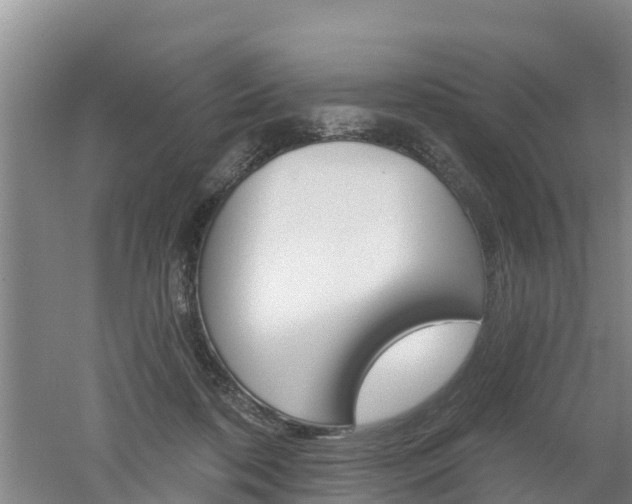 X0000053020316200507152021