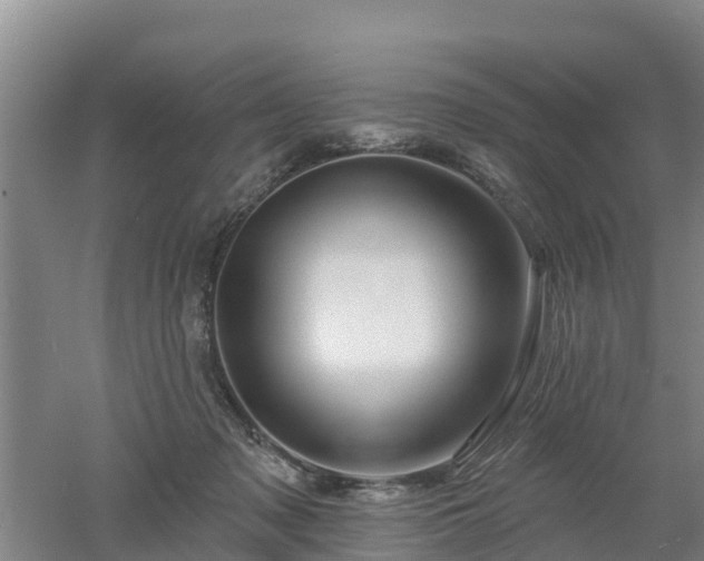 X0000053020317200507152021