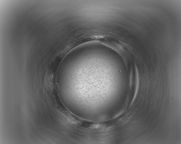 X0000053020319200507152021