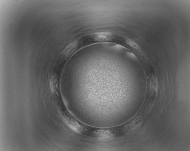 X0000053020322200507152021