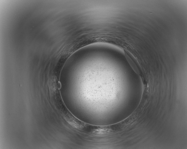 X0000053020323200507152020