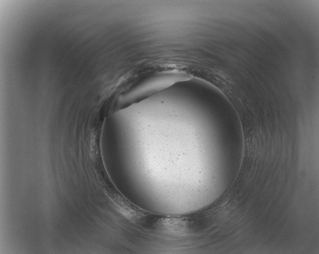 X0000053020327200507152020