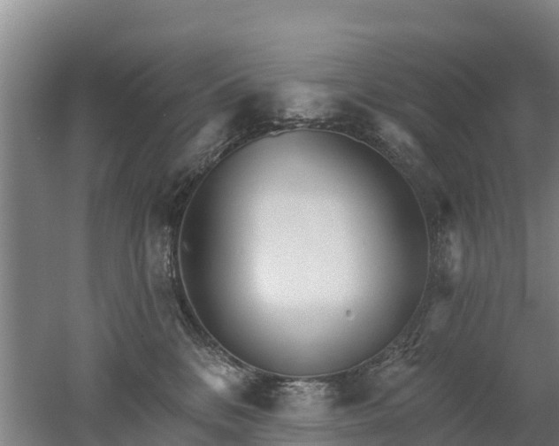 X0000053020328200507152020