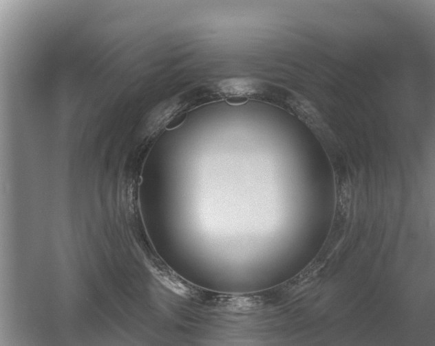 X0000053020330200507152020