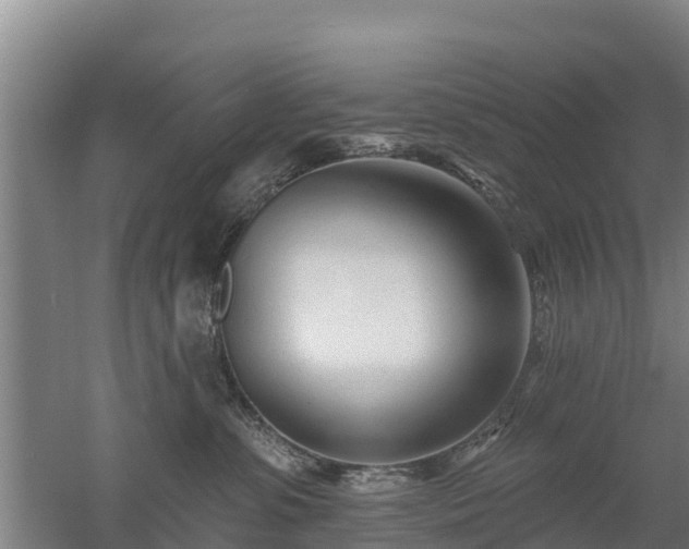 X0000053020331200507152020