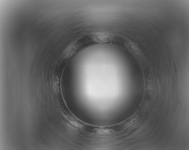 X0000053020332200507152020