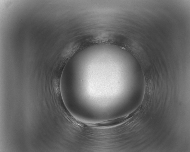 X0000053020335200507152020