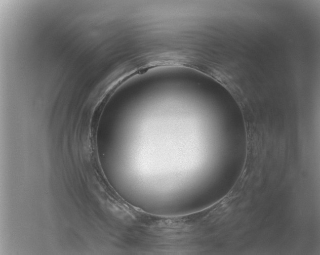 X0000053020338200507152019