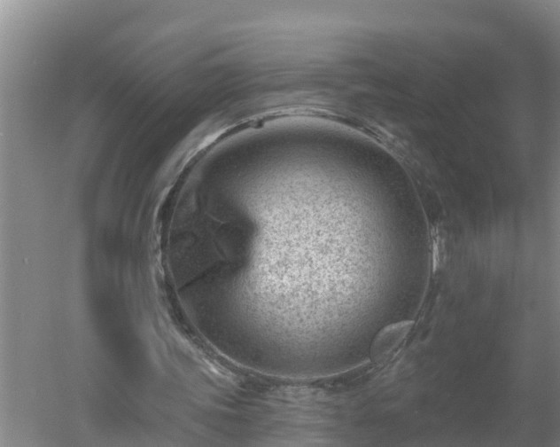 X0000053020339200507152019