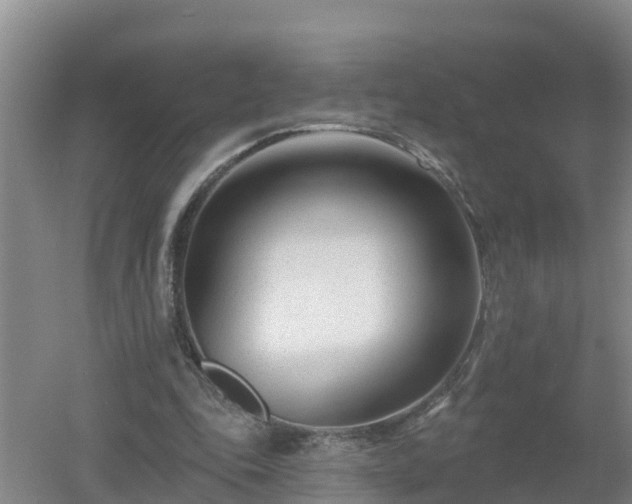 X0000053020343200507152020