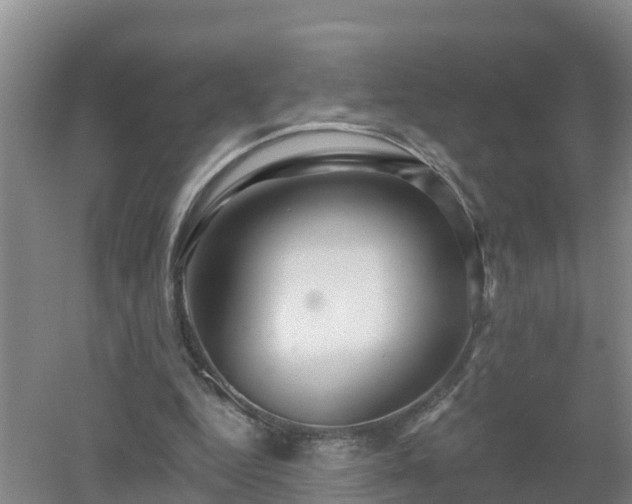 X0000053020344200507152020