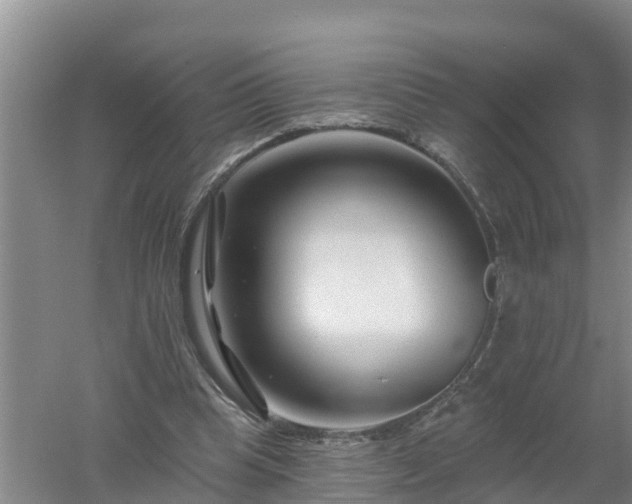 X0000053020345200507152020