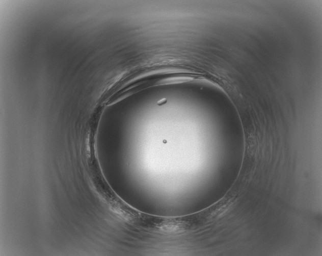 X0000053020358200507152020