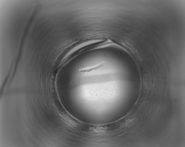 X0000053020359200507152020