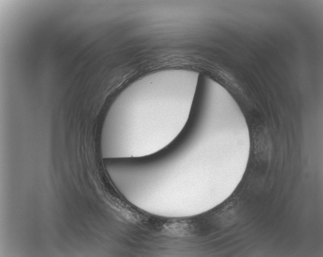 X0000053020362200507152020