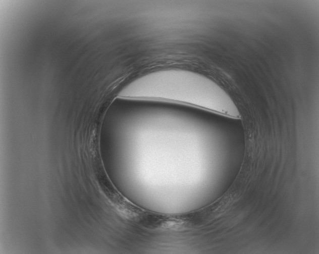 X0000053020364200507152020