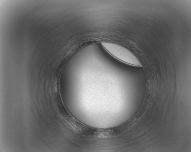 X0000053020368200507152020