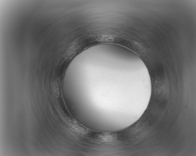 X0000053020370200507152020