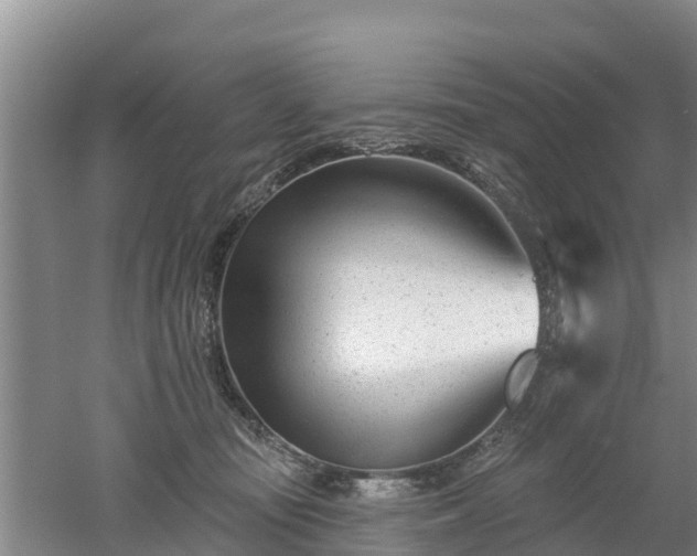 X0000053020371200507152020