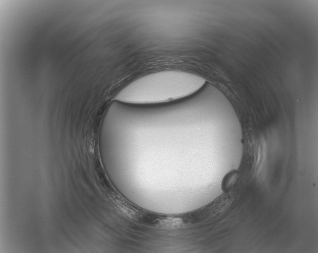 X0000053020374200507152020