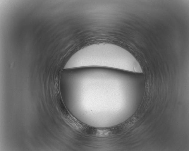 X0000053020376200507152020