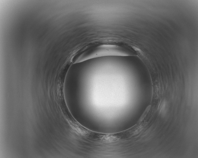 X0000053020379200507152020