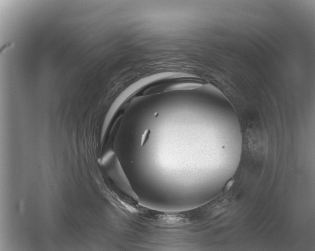 X0000053020380200507152020