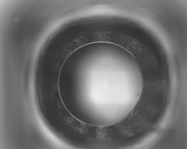 X0000053020382200507152020