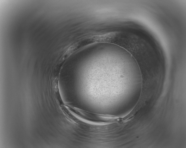 X0000053020383200507152020