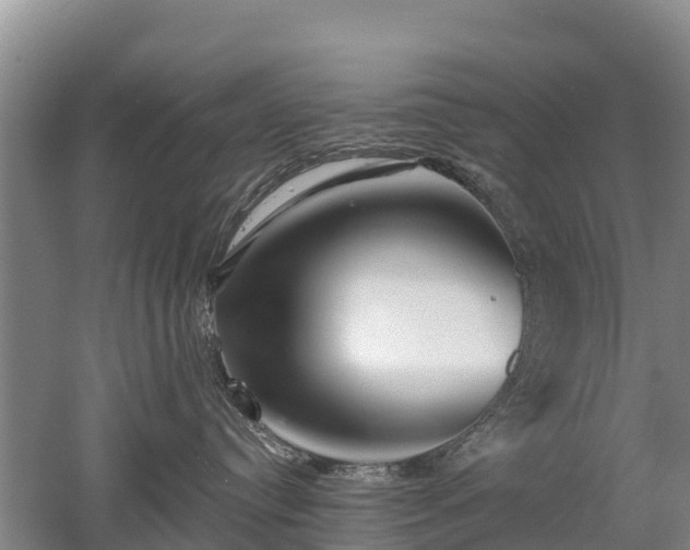 X0000053020384200507152020