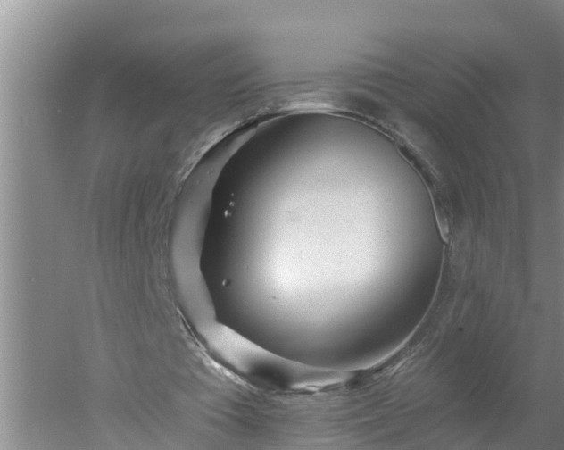 X0000053020385200507152019