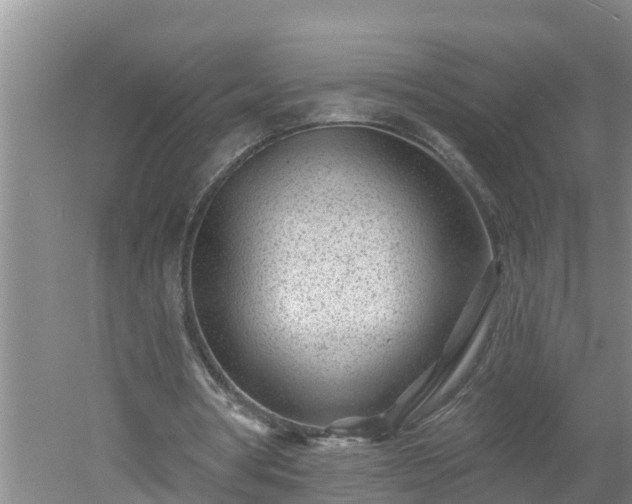 X0000053020386200507152019