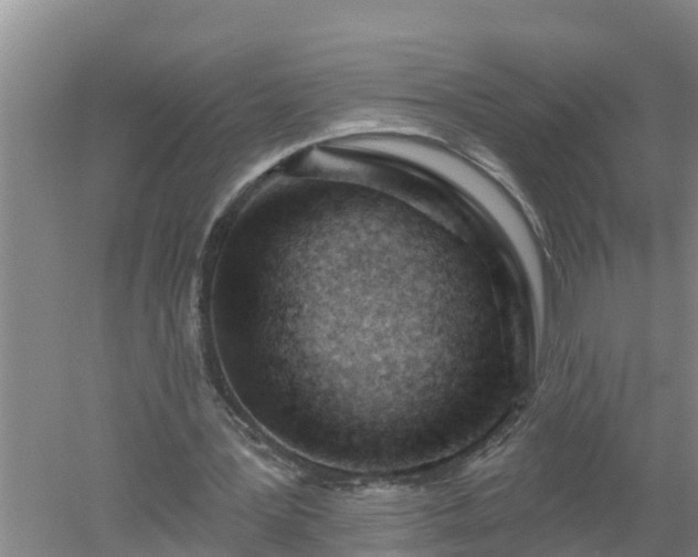 X0000053020387200507152019