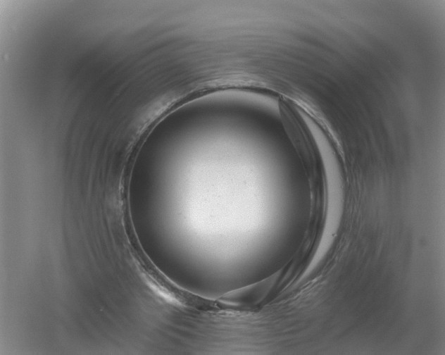 X0000053020389200507152019