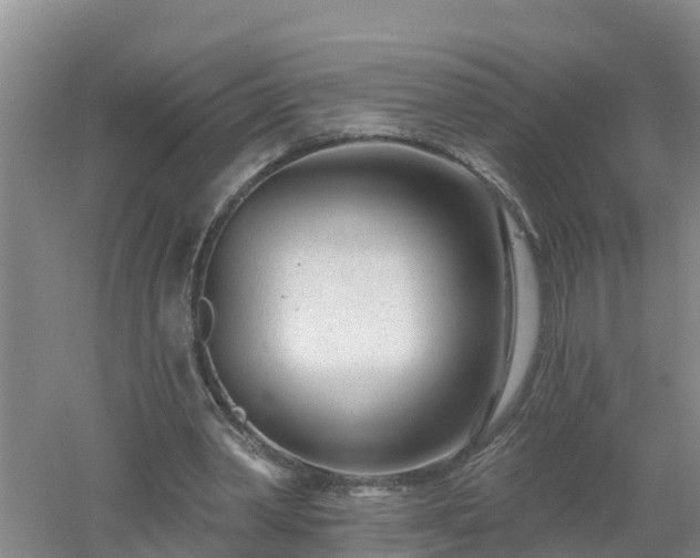 X0000053020390200507152019