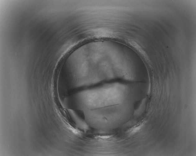 X0000053020391200507152019