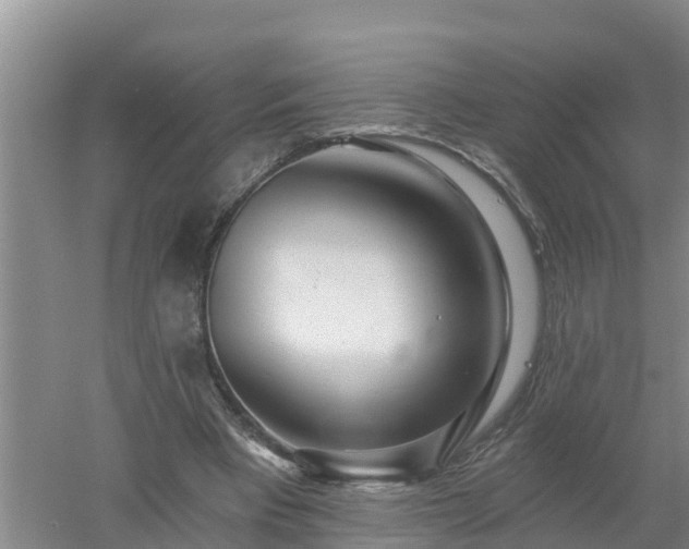 X0000053020393200507152019