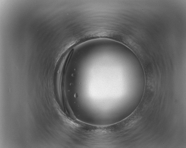 X0000053020394200507152019