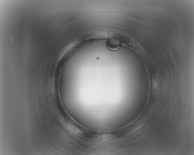 X0000053020396200507152019