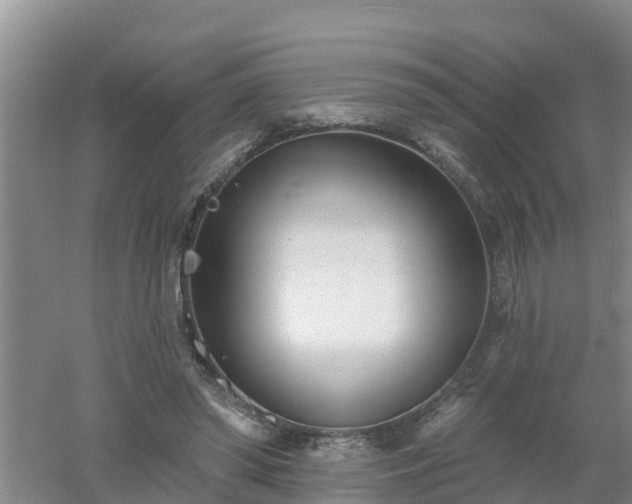 X0000053020398200507152019