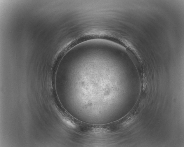 X0000053020399200507152019