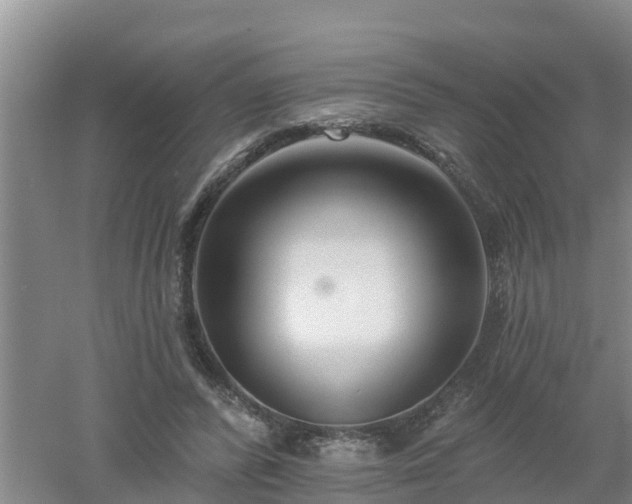 X0000053020400200507152019