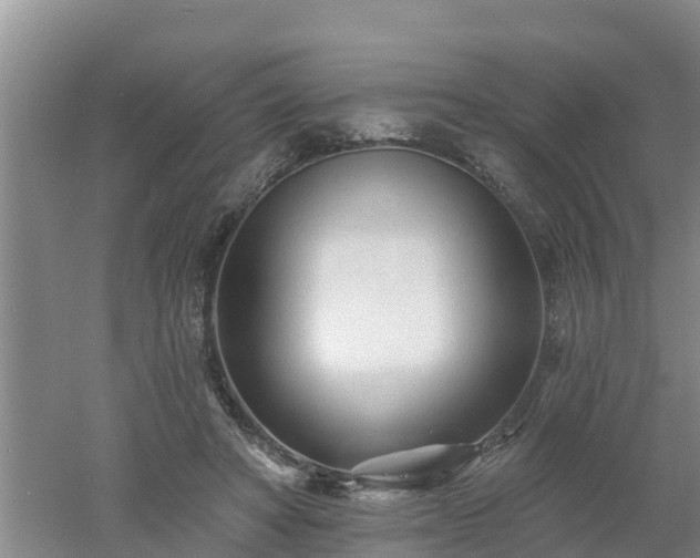 X0000053020402200507152019