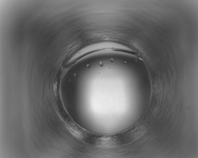 X0000053020406200507152019