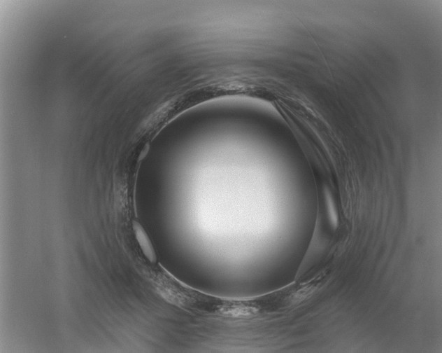 X0000053020407200507152019