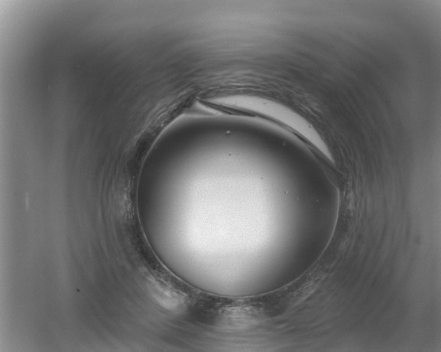 X0000053020408200507152019