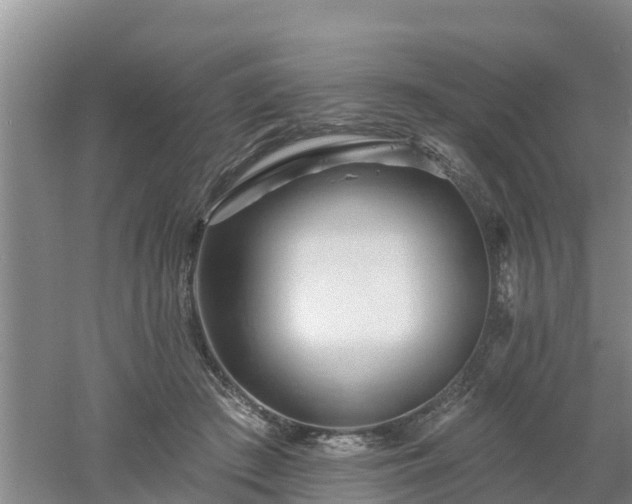 X0000053020409200507152019