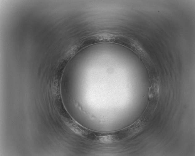 X0000053020411200507152019