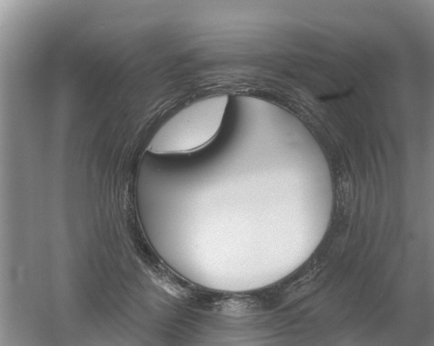 X0000053020412200507152019