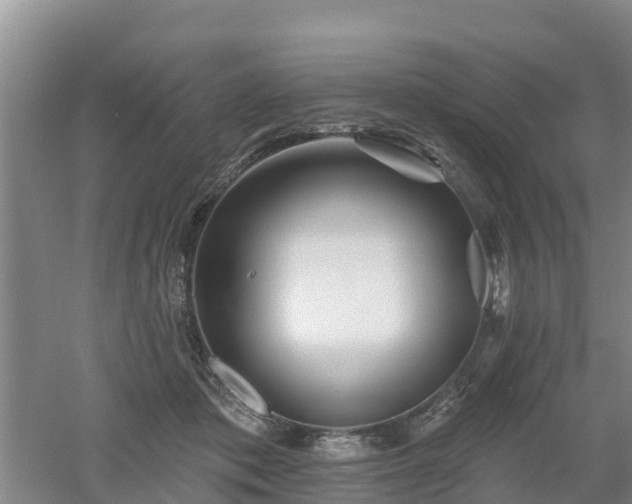 X0000053020413200507152019